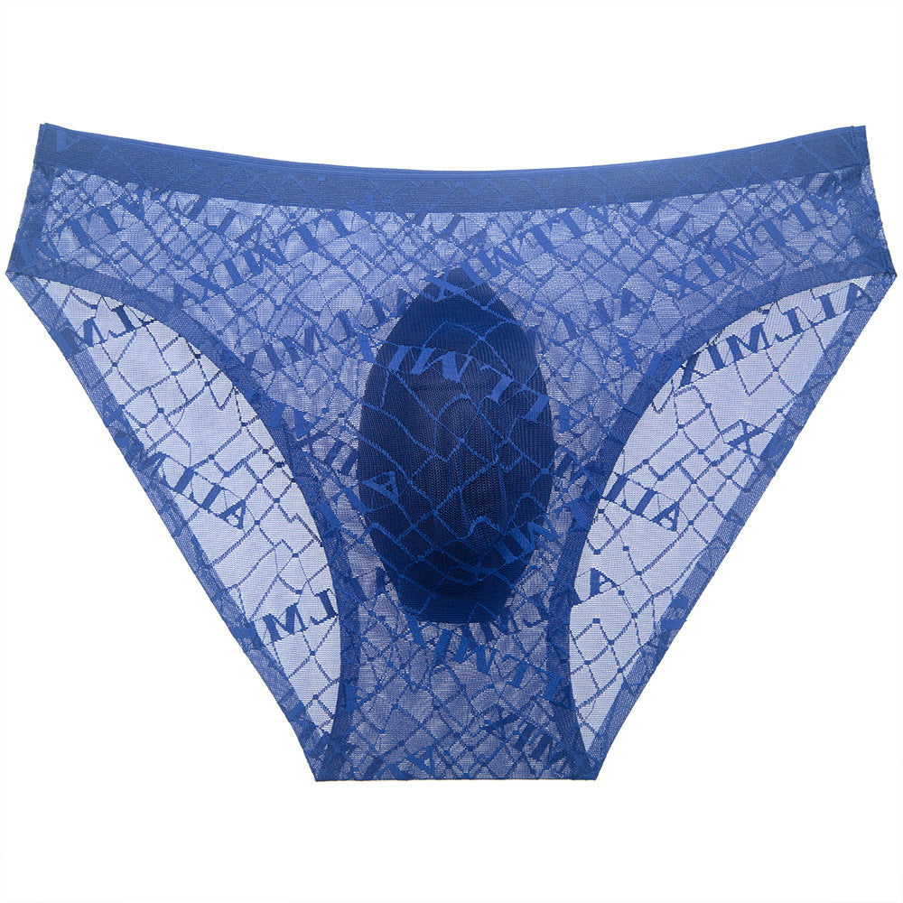ZD Printed Sheer Mesh Men Brief