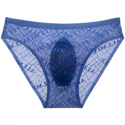 ZD Printed Sheer Mesh Men Brief