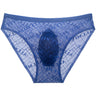 ZD Printed Sheer Mesh Men Brief