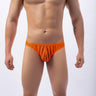 ZD Vertical Stripe Sheer Briefs